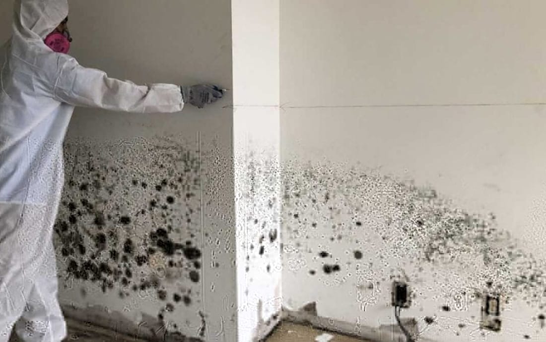 Illustrative photo of a technician inspecting an affected wall