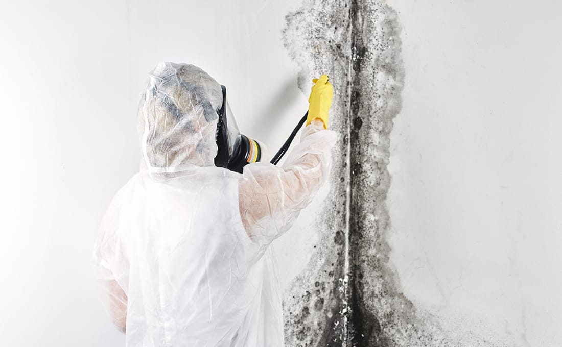 A technician treating a recurring vertical streak of mold in the corner of a room