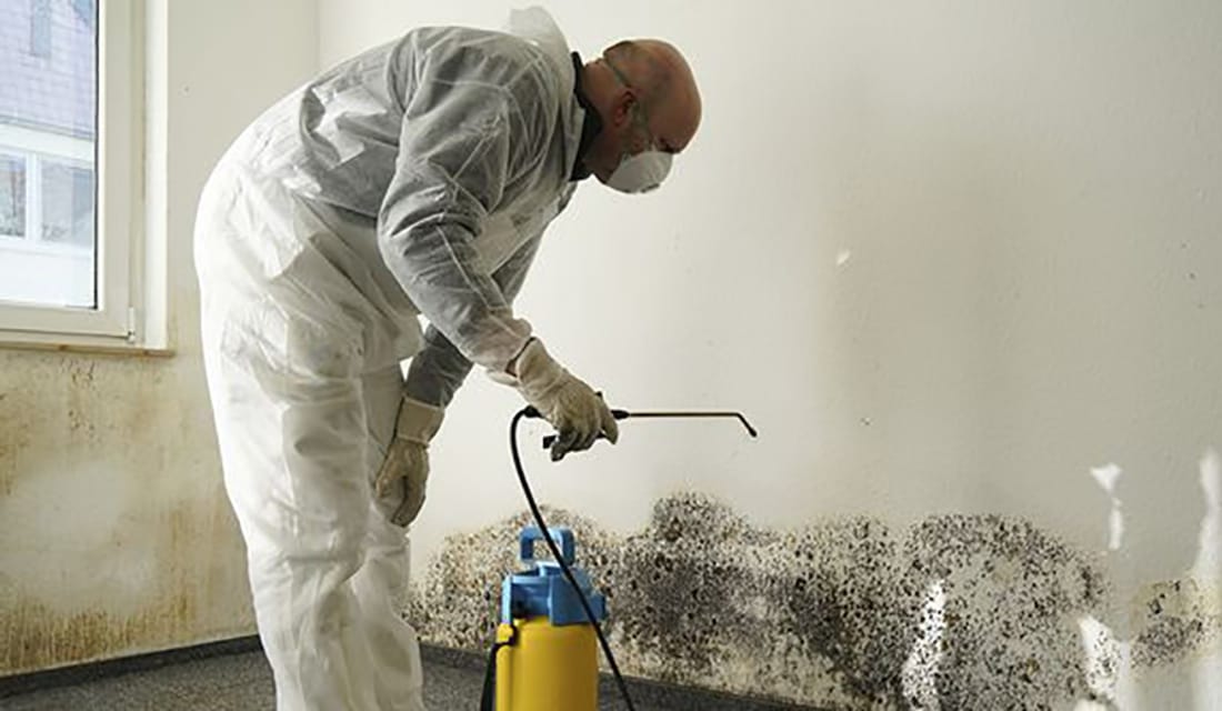 Mold along the base of a wall where a wardrobe blocked airflow against a cool surface